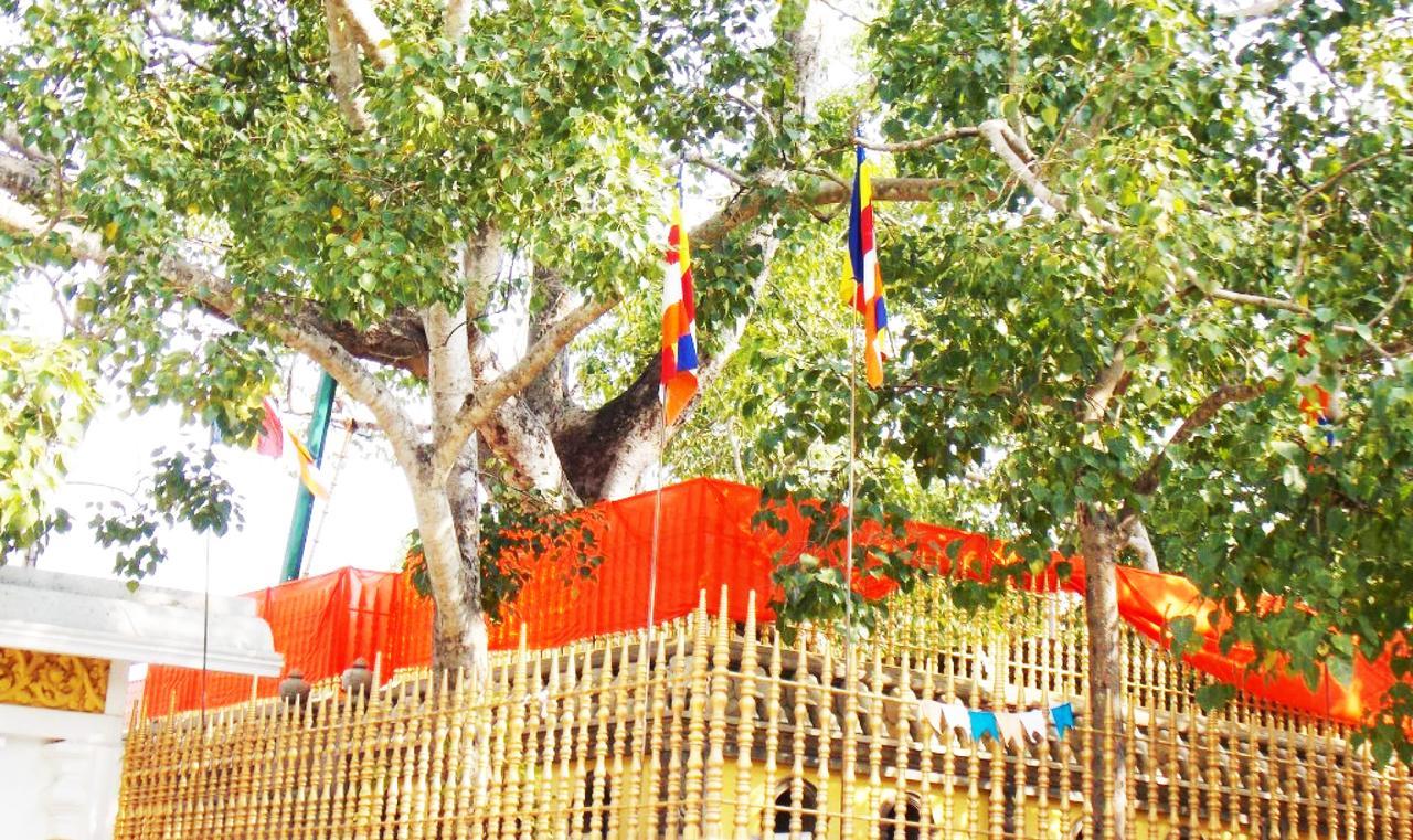 Kubura Resort Anuradhapura Exteriör bild