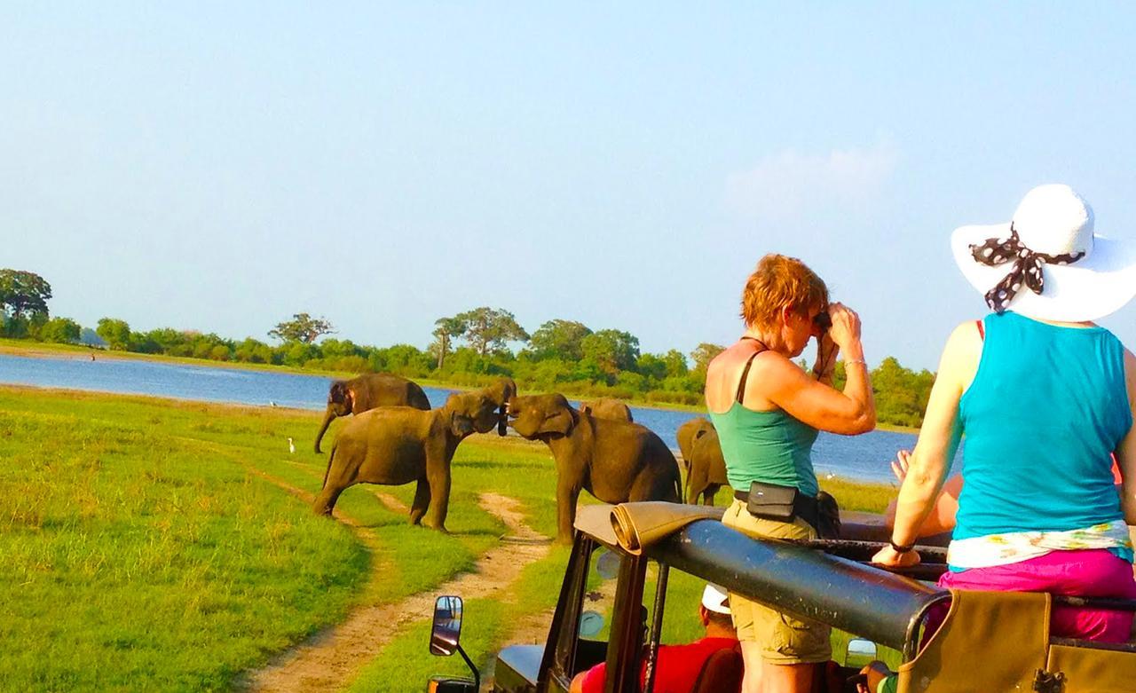 Kubura Resort Anuradhapura Exteriör bild